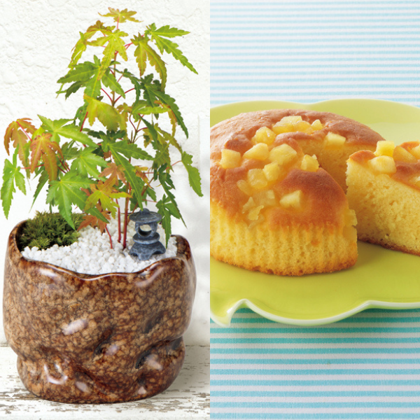 新月バラ園 親父の手（SUSTEE付）＋東京堂の焼き甘芋チーズケーキ【父の日】 商品サムネイル